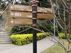 -金鸡山公园