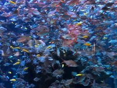 -成都浩海立方海洋公园