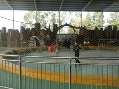 -泉州海丝野生动物世界