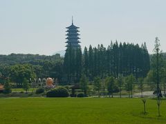 -宜兴龙背山森林公园