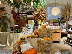 -知物癖(牛王庙店)