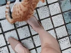 -十九路军淞沪抗日阵亡将士陵园