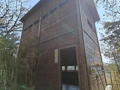 -华侨城湿地公园