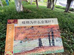 -东莞植物园