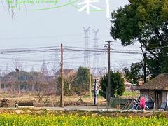 -上海佘山国家森林公园天马山园