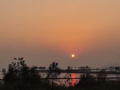 -合肥滨湖国家森林公园