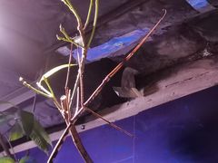-正佳雨林生态植物园