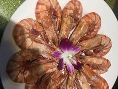 -福来齐·鲁菜海鲜·渔家菜(朝阳街分店)