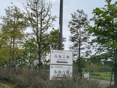 -上海长兴岛郊野公园