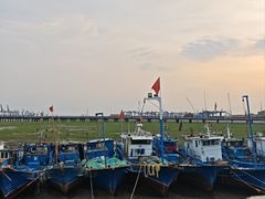 -汤山公园