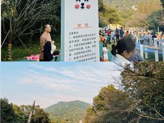 -杭州少年儿童公园