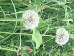 iphone_upload_pic-上海怡沁园度假酒店