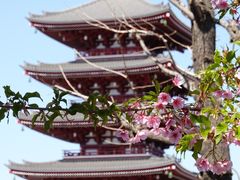 -浅草寺