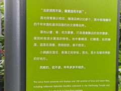 -云溪植物园