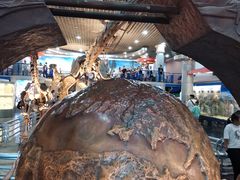 -国家自然博物馆