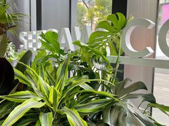 -Seesaw Coffee(深圳万象天地店)