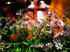 -绿茵阁牛扒餐厅(客村店)