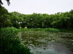 -新江湾城公园