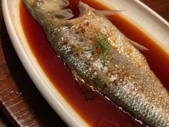 长江鲥鱼-明州小宴(文化广场店)