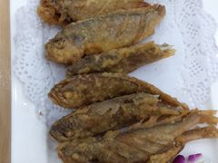 -盛京富丽园老菜馆·东北菜(和平南大街店)