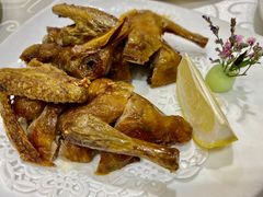 -凤城礼记鱼翅海鲜酒家(新马路总店)