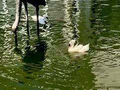 -苏州河梦清园环保主题公园