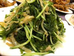 黄瓜拌金针菇-林之六八·6886大连老菜馆