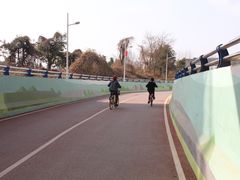 -白鹭湾湿地公园