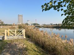 -鹦鹉洲湿地公园