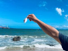 -玫瑰海岸文化旅游度假区