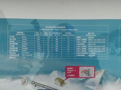 游乐设施-多乐美地滑雪场