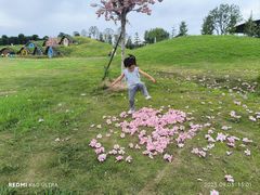 -武汉紫薇都市田园