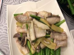 葱姜炒生鱼片-粤·向群饭店(龙津东路总店)