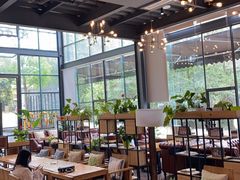 大堂-桉树林A coffee 森林餐厅(三圣乡店)