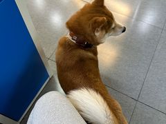 -帝京日语(春熙路旗舰校区)