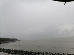 -深圳湾公园(南山区)