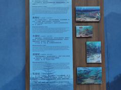 -秦岭终南山世界地质公园翠华山景区