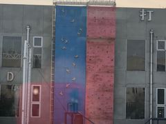 -国际安全防卫学院