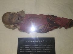 -巴音郭楞蒙古自治州博物馆