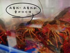 -二钳洞庭虾蟹·江湖菜(成都鹭岛店)