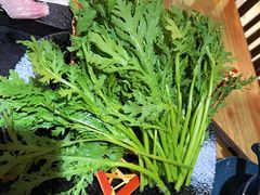 茼蒿-湊湊火锅·茶憩(上海合生汇店)