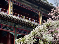 -潭柘寺景区