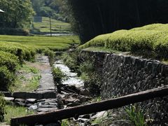 -东钱湖旅游度假区