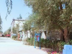 -杜氏旅游度假区