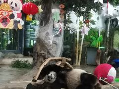 -海南热带野生动植物园