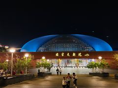 门面-国家大剧院