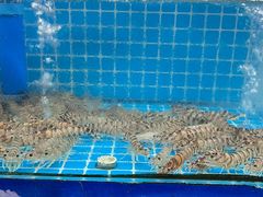 -坛南湾农家乐·海鲜楼·大排档(平潭坛南湾店)
