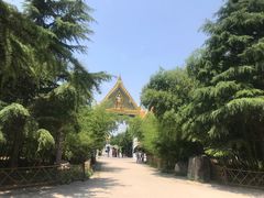 -洛阳白马寺