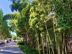 -浙商世贸玉龙酒店