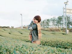 -雪绿茶博物馆